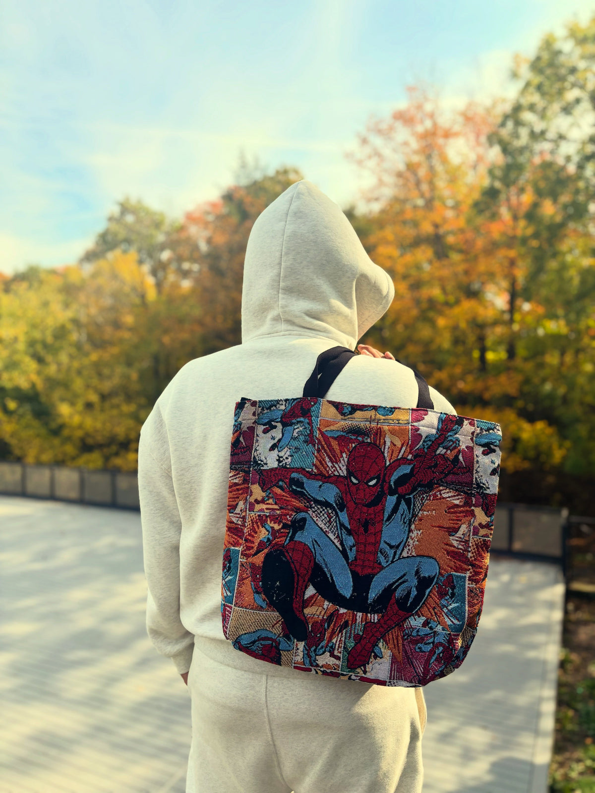 Spidey Art